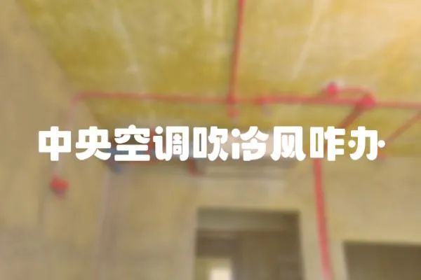 中央空調吹冷風咋辦