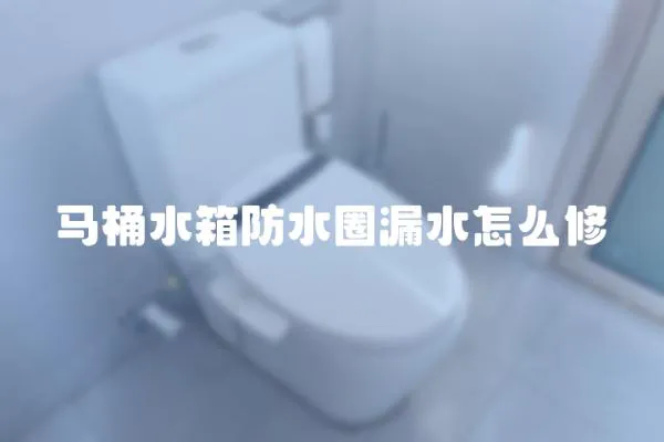 馬桶水箱防水圈漏水怎么修