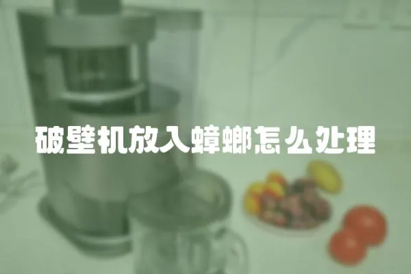 破壁機放入蟑螂怎么處理