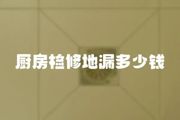 廚房檢修地漏多少錢