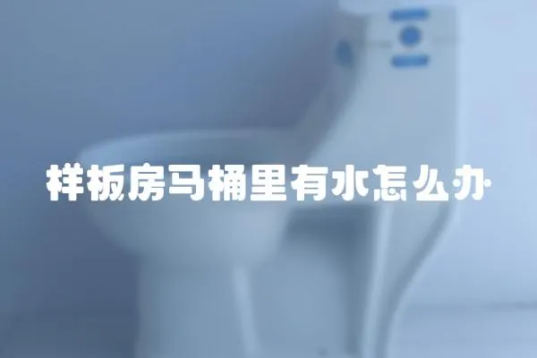 樣板房馬桶里有水怎么辦