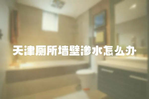 天津廁所墻壁滲水怎么辦