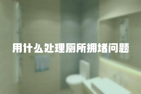用什么處理廁所擁堵問題