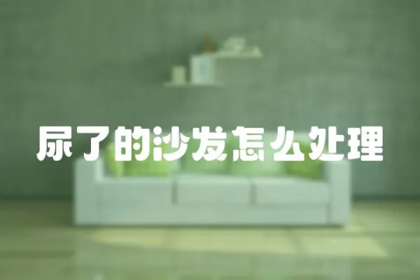 尿了的沙發怎么處理