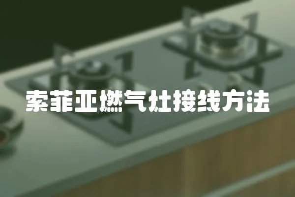 索菲亞燃?xì)庠罱泳€方法