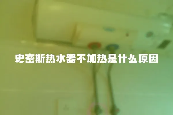 史密斯熱水器不加熱是什么原因