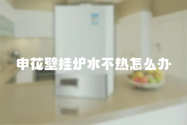 申花壁掛爐水不熱怎么辦