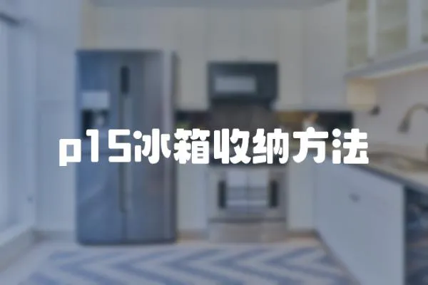 p15冰箱收納方法