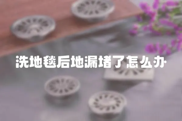 洗地毯后地漏堵了怎么辦