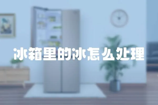 冰箱里的冰怎么處理