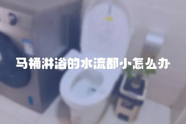 馬桶淋浴的水流都小怎么辦