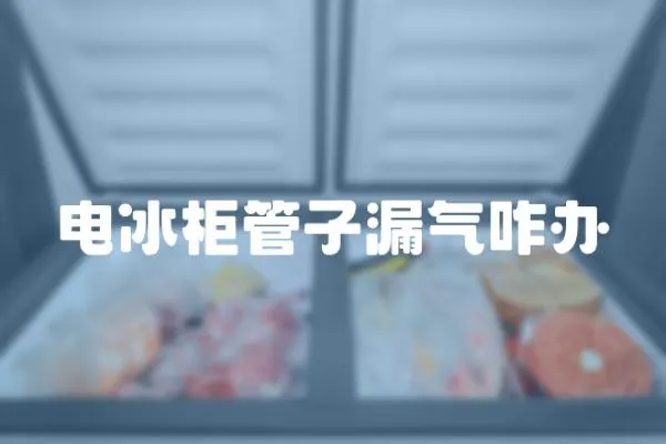 電冰柜管子漏氣咋辦