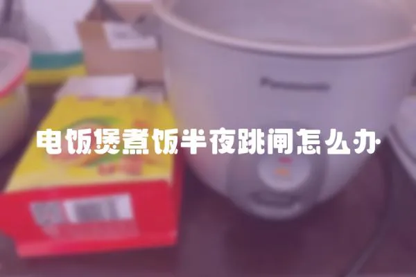 電飯煲煮飯半夜跳閘怎么辦