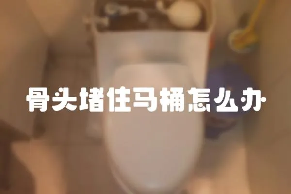 骨頭堵住馬桶怎么辦