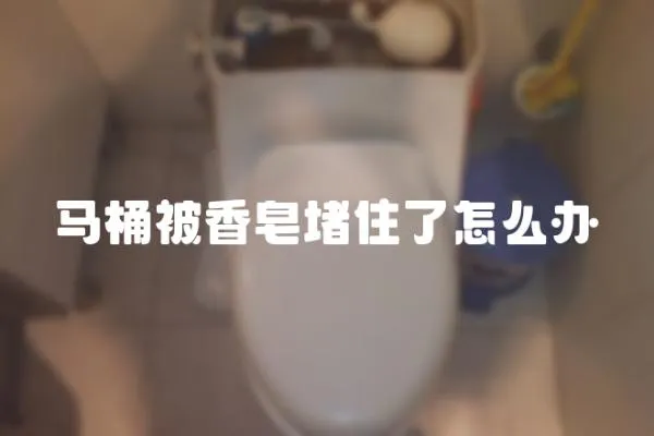 馬桶被香皂堵住了怎么辦