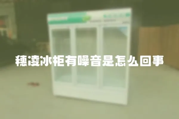 穗凌冰柜有噪音是怎么回事