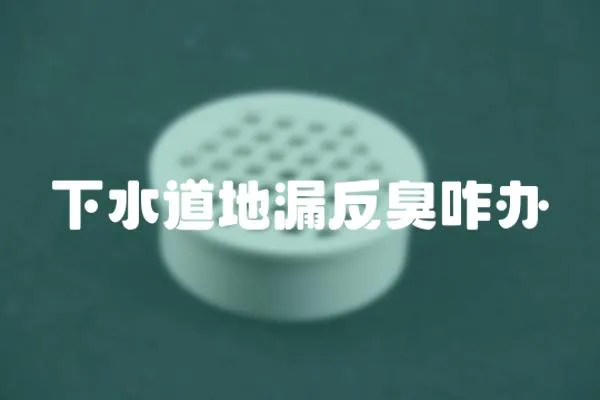下水道地漏反臭咋辦