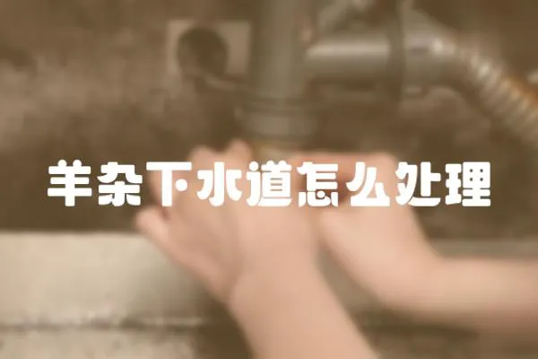 羊雜下水道怎么處理