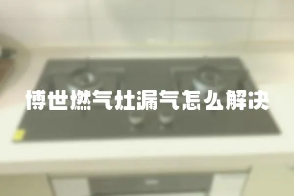 博世燃氣灶漏氣怎么解決