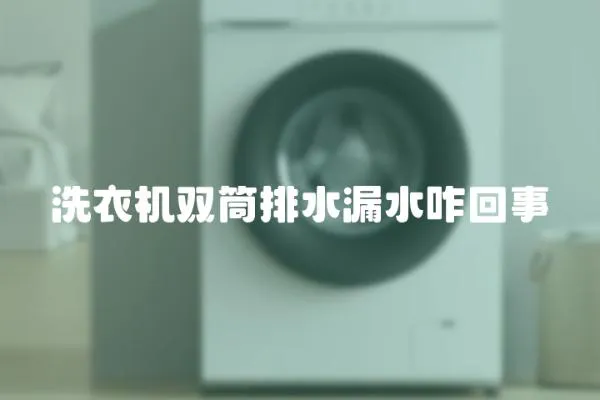 洗衣機雙筒排水漏水咋回事