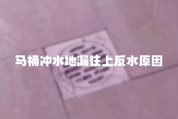 馬桶沖水地漏往上反水原因