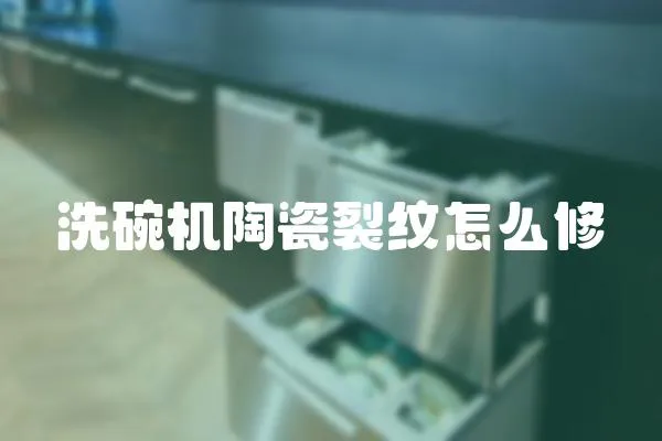 洗碗機陶瓷裂紋怎么修