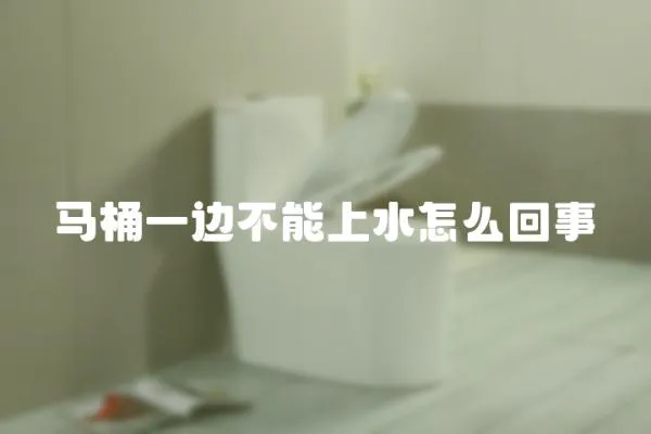 馬桶一邊不能上水怎么回事