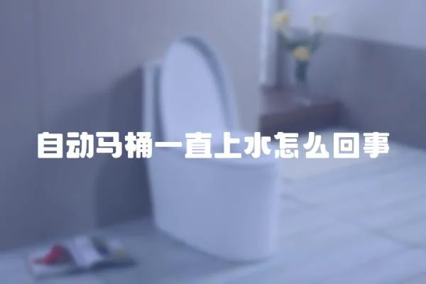自動馬桶一直上水怎么回事