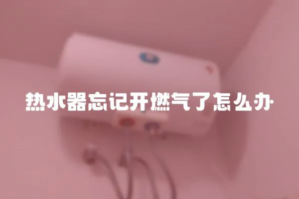 熱水器忘記開燃氣了怎么辦