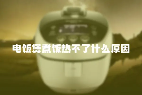 電飯煲煮飯熱不了什么原因