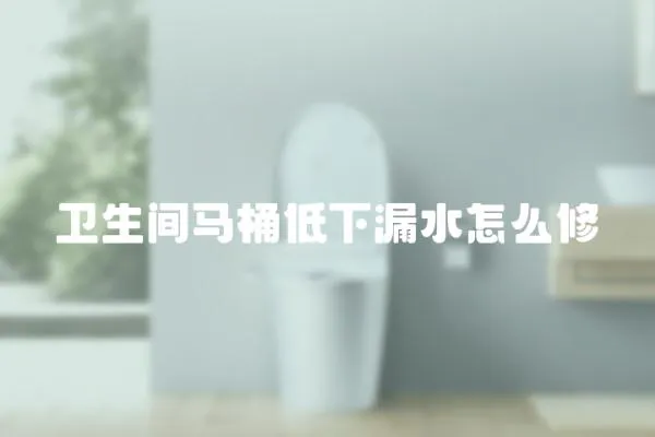 衛生間馬桶低下漏水怎么修