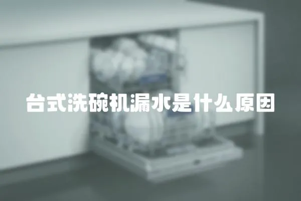 臺式洗碗機漏水是什么原因