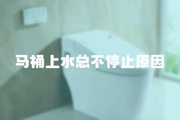 馬桶上水總不停止原因