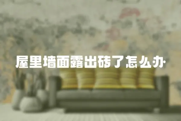 屋里墻面露出磚了怎么辦