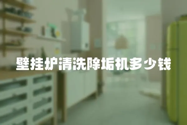 壁掛爐清洗除垢機(jī)多少錢