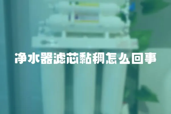 凈水器濾芯黏稠怎么回事