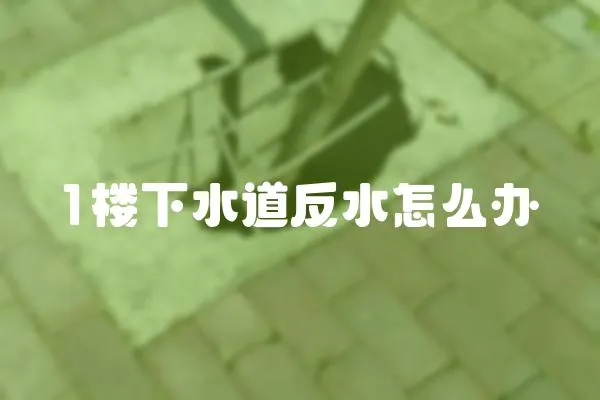 1樓下水道反水怎么辦