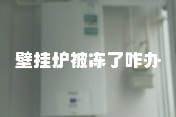 壁掛爐被凍了咋辦