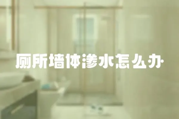 廁所墻體滲水怎么辦