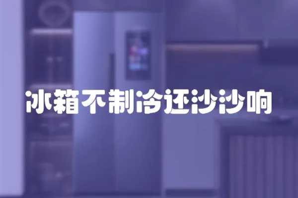 冰箱不制冷還沙沙響