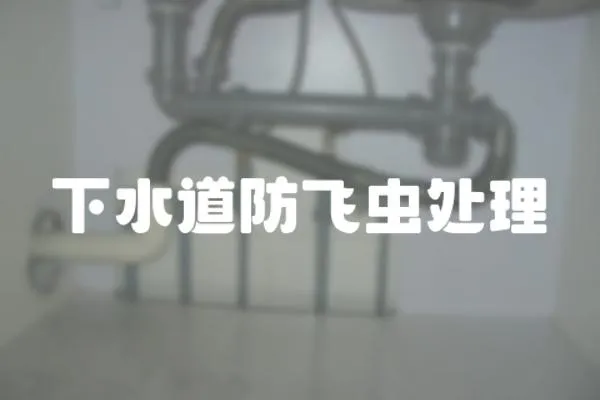 下水道防飛蟲處理