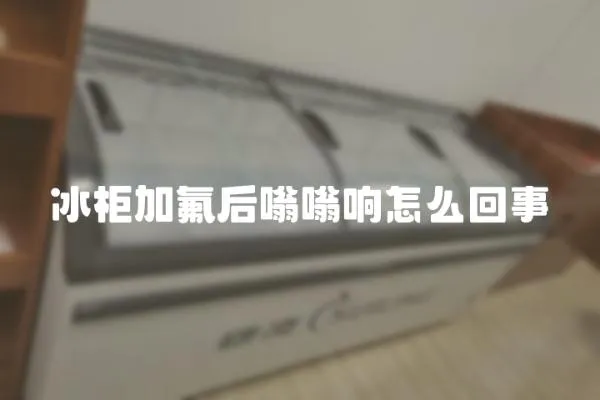 冰柜加氟后嗡嗡響怎么回事