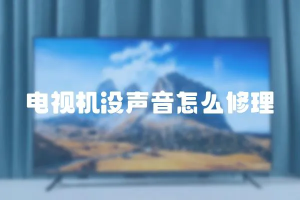 電視機(jī)沒聲音怎么修理