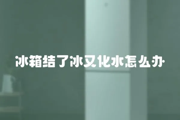 冰箱結了冰又化水怎么辦