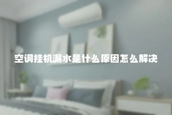 空調(diào)掛機(jī)漏水是什么原因怎么解決