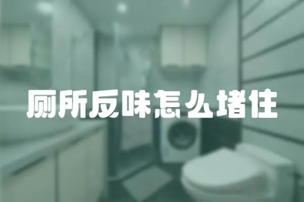 廁所反味怎么堵住