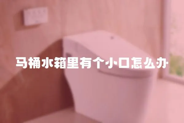 馬桶水箱里有個小口怎么辦