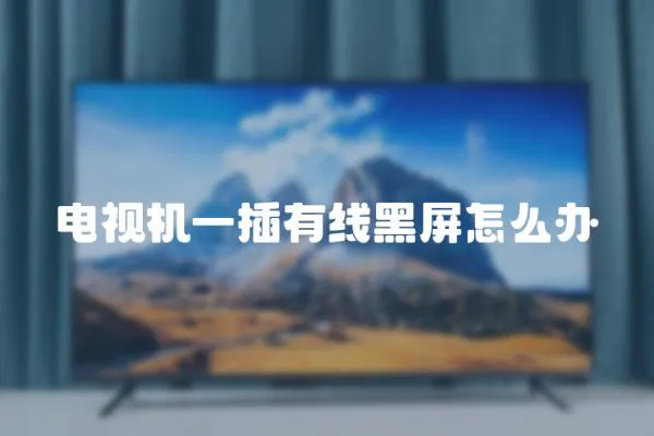 電視機一插有線黑屏怎么辦