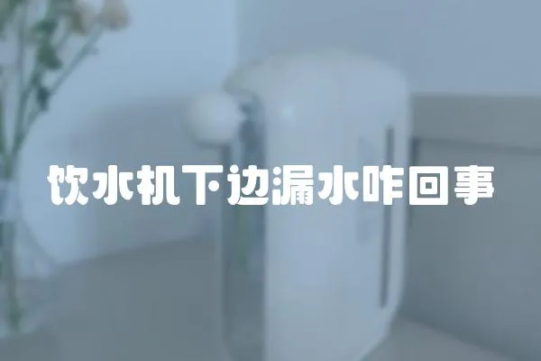 飲水機下邊漏水咋回事