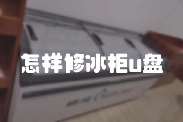 怎樣修冰柜u盤